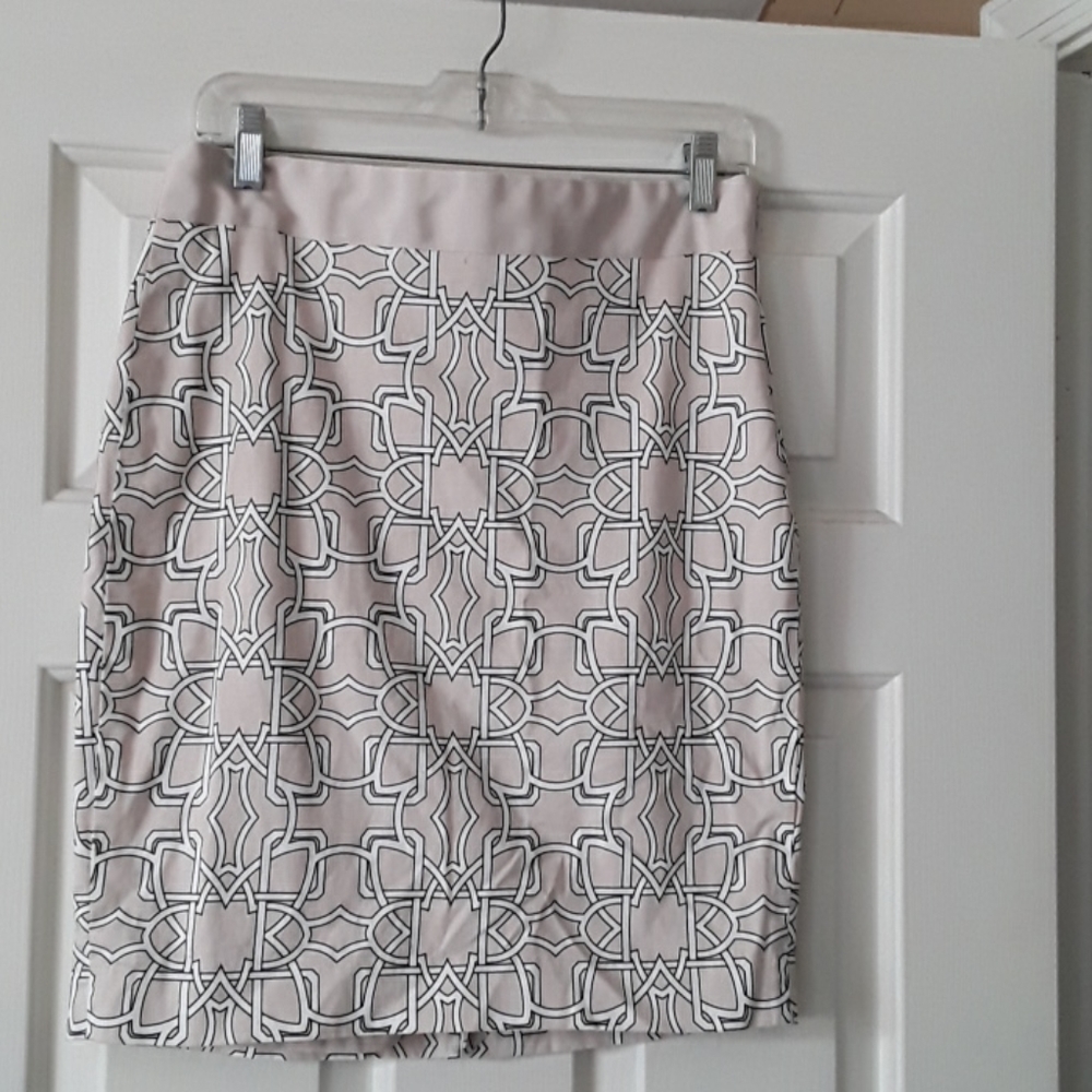 The Limited spring skirt